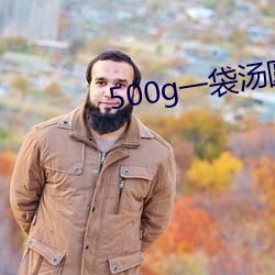 500g一袋汤圆多少钱