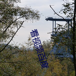 看视频(pín)百度(dù)