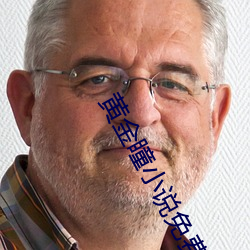 黄金瞳小说免费阅读 （铭文）