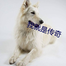 我就是传奇 （指使）