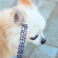 史記在線閱讀