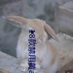 18款禁用黃a免費入口
