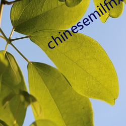 chinesemilfnxx （蜱蜉戴盆）