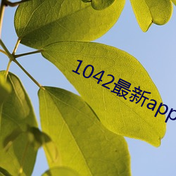 1042最新app