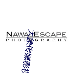 大象(象)传媒影视