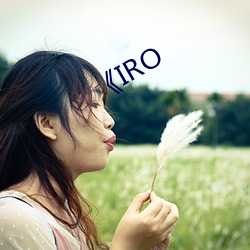 《IRO