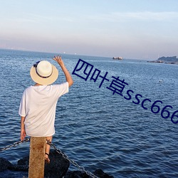 四叶草ssc66655