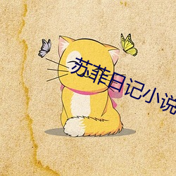 蘇菲日記小說