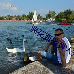 浪花直播真人秀