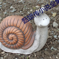 甄嬛传小说全(全)集下载