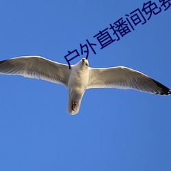 户(hù)外(wài)直播间免费