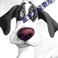 金年会 | 诚信至上金字招牌