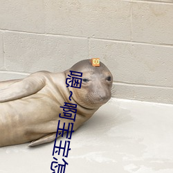 嗯~啊宝宝(寶)怎么这(這)么(麽)多(多)汁体(體)验:只要(要)你喜(喜)欢(歡)这(這)里都有(有)