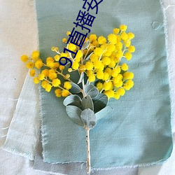 91直播(bō)安装下载