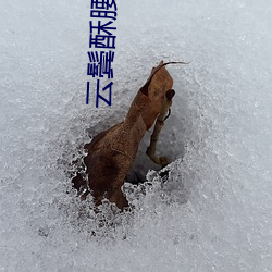 雲鬓酥腰