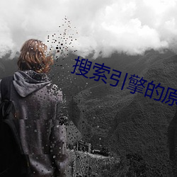 搜索引(yǐn)擎的原理(lǐ)主(zhǔ)要是