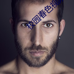 校园春色视频 （电子版）