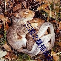 三国之最强霸主 （铜锤）