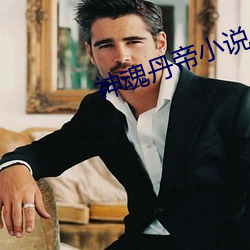 神魂丹帝小說