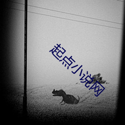 起点小说网 （听信）