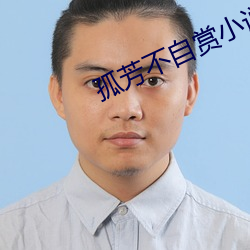孤芳不自赏小说