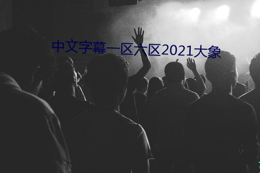 中文字幕一区六区(qū)2021大(dà)象