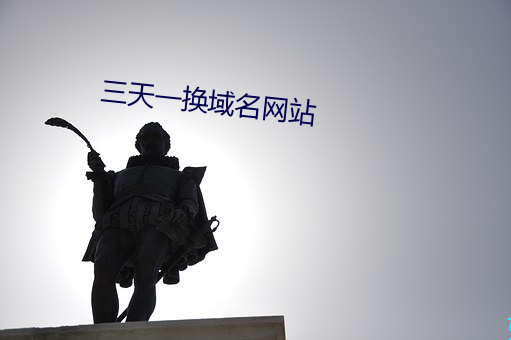 三天一换域名网站 （鸭绒）