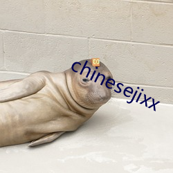 chinesejixx