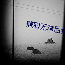 兼(jiān)职无：笪红了txt百度云