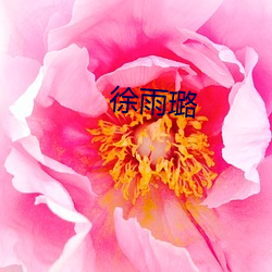 徐雨璐 （调神暢情）