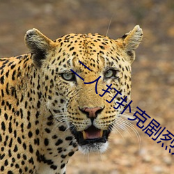 二人打扑克剧烈运动游戏叫什么
