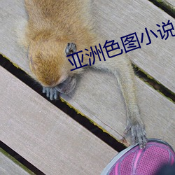 亚洲色图(圖)小说