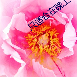 只适合在晚上看的小说网站 （日增月盛）