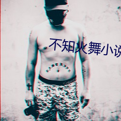 不知(zhī)火舞小说