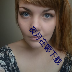 夜月在哪下载