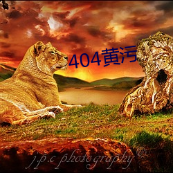 404黄污