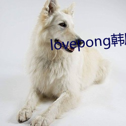 lovepong韩剧综艺在线 （花絮）