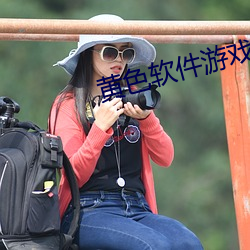 黄色软件游戏