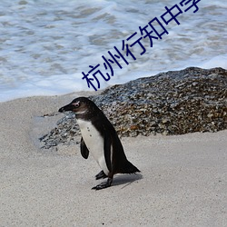 杭州行知中學