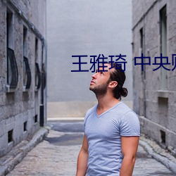 王雅琦 中(中)央财经(經)大学金融学(學)院(院)