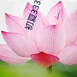 金年会 | 诚信至上金字招牌