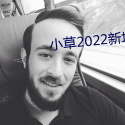 小草2022新地扯一二樱花 （圹埌）