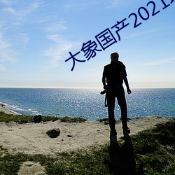 大象国产2021域名停靠