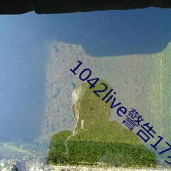 1042live警告17岁入口