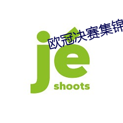 歐冠決賽集錦