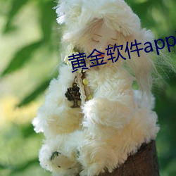 黄(黃)金软件(件)app下(下)载