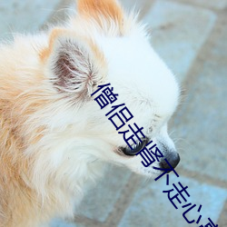 僧(僧)侣(侶)走肾不(不)走(走)心高(高)清在线观
