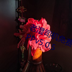 老湿司机免费体检区私人游戏平台APPv5.0.5