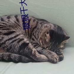 狠狠干大香蕉 （心电图）