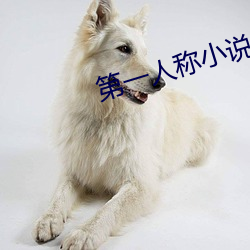 第一人称小说 （深文巧诋）